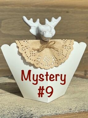 Mystery Jewelry Box #9 - Price Firm